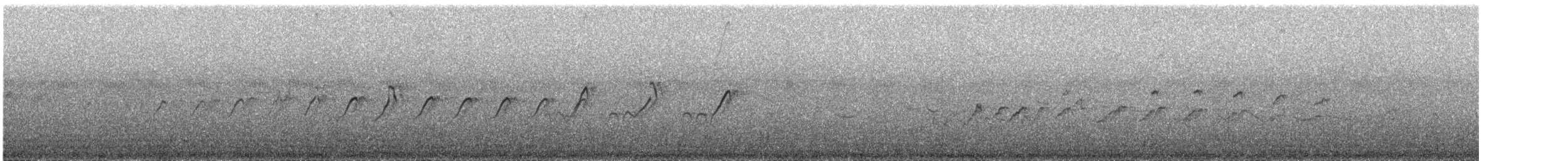 Chevalier grivelé - ML645161357