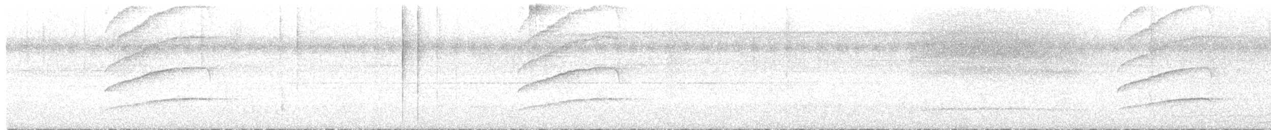 Whistling Long-tailed Woodcreeper - ML645161564