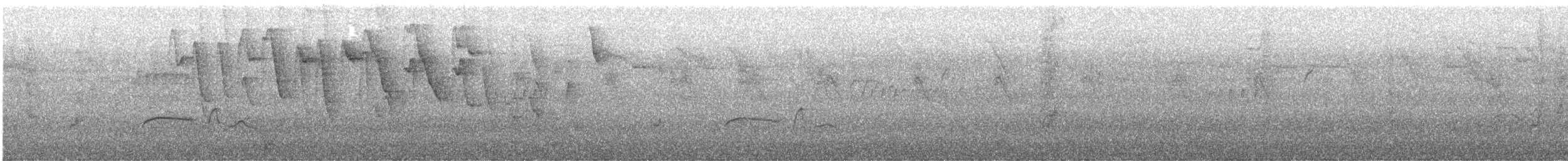 Olivflanken-Schnäppertyrann - ML645161586