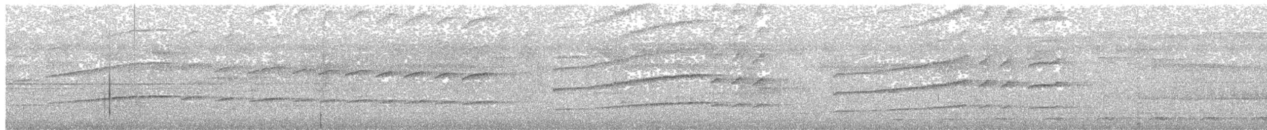 Whistling Long-tailed Woodcreeper - ML645161848