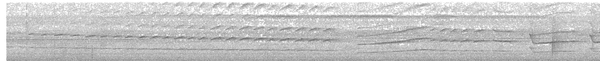 Whistling Long-tailed Woodcreeper - ML645161849