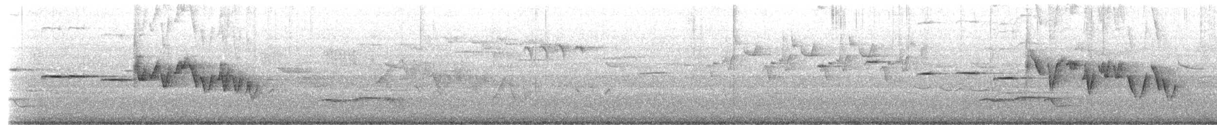 skiferbuktesia - ML645161959