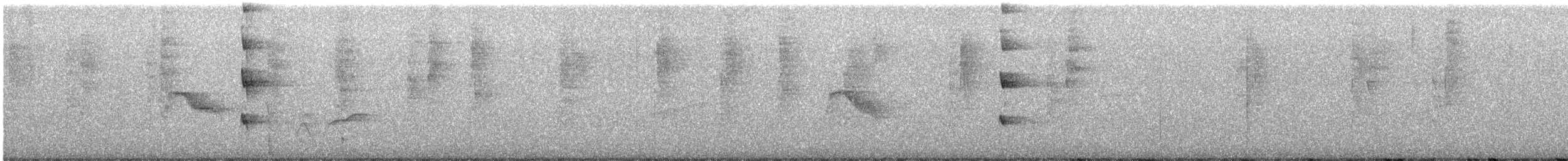 Bicknell's Thrush - ML645162177