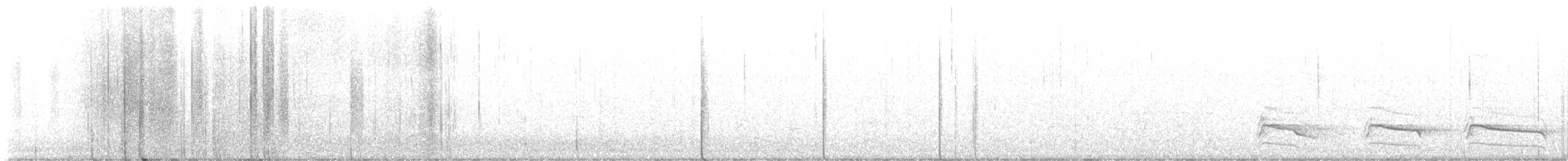 Red-shouldered Hawk (lineatus Group) - ML645162538