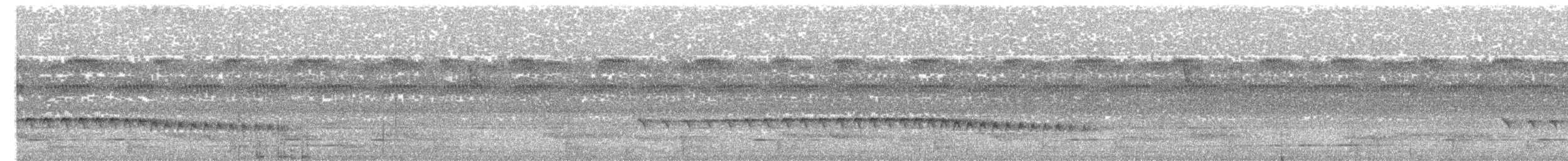 Spot-winged Antbird - ML645163197