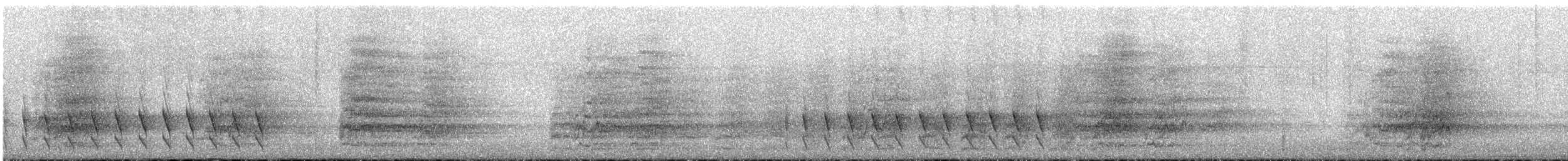 Rostflankentapaculo - ML645163867