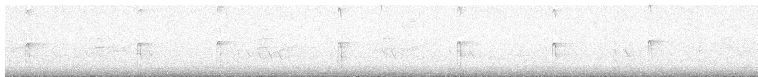 strakapoud americký [skupina villosus] - ML645165075