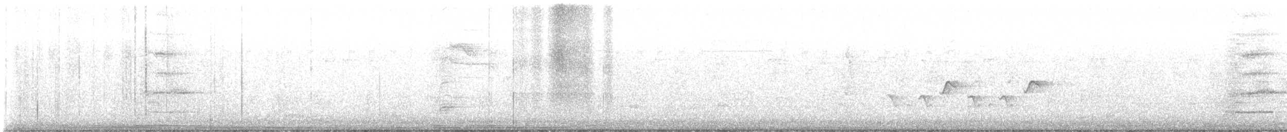 Erregetxo mottogorria - ML645165323