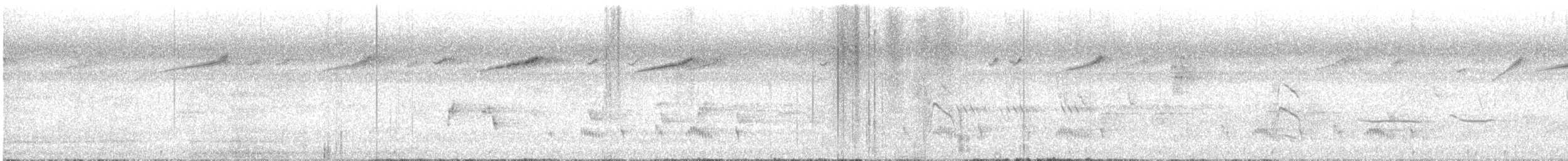 småmønjefugl - ML645165508