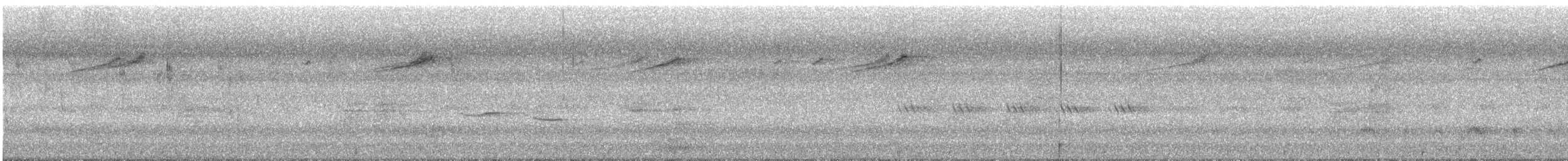 småmønjefugl - ML645165509