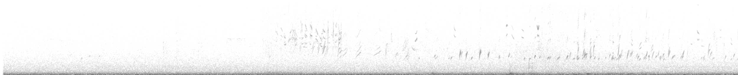 stillits - ML645165545