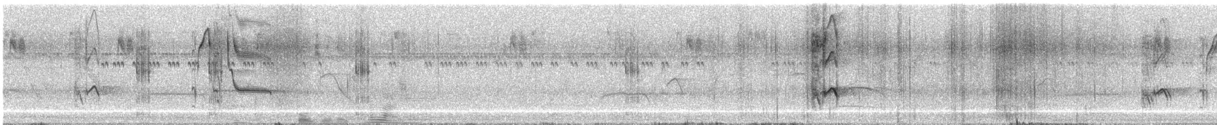 gulgumptrupial - ML645165660
