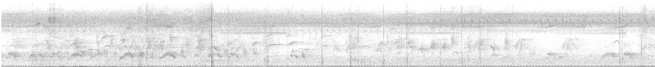 bronsedrongo - ML645165700