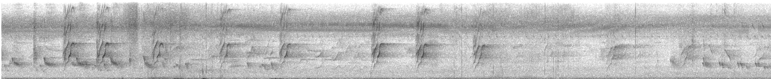 bronsedrongo - ML645165703