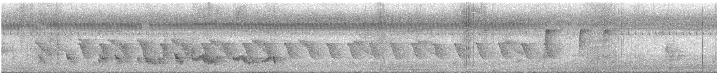 bronsedrongo - ML645165704