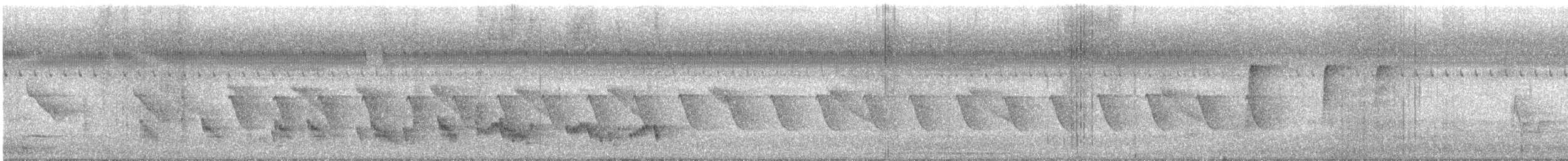 bronsedrongo - ML645165705