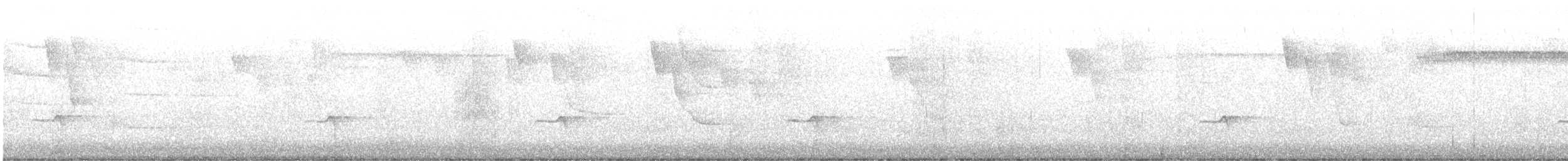 mistelteintyrannulett - ML645165886