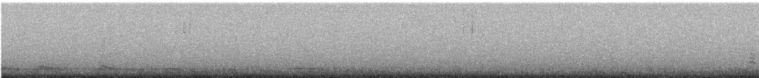 White-breasted Nuthatch - ML645166234