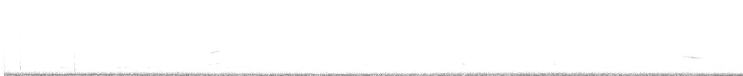 Hermit Thrush - ML645168294