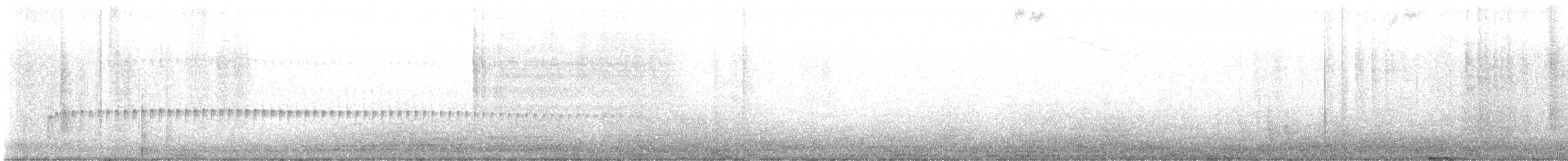 Harris' Antelope Squirrel - ML645168893