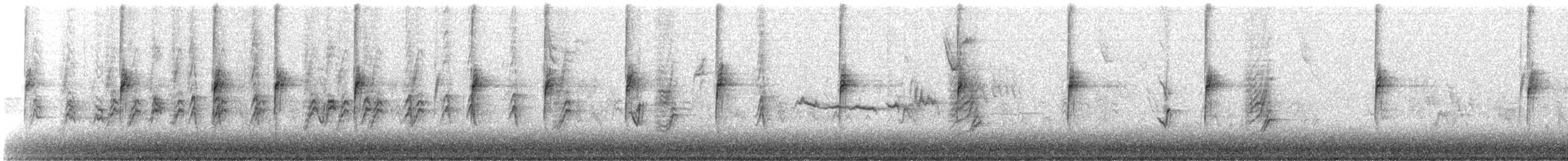 White-crowned Sparrow (Gambel's) - ML645170034