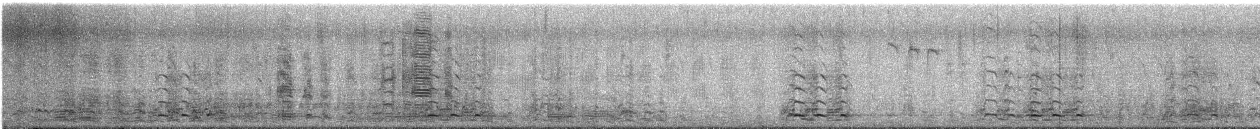 Greater White-fronted Goose - ML645170035