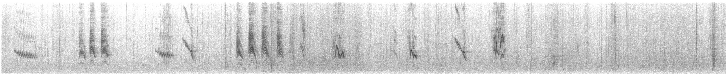 House Sparrow - ML645170366