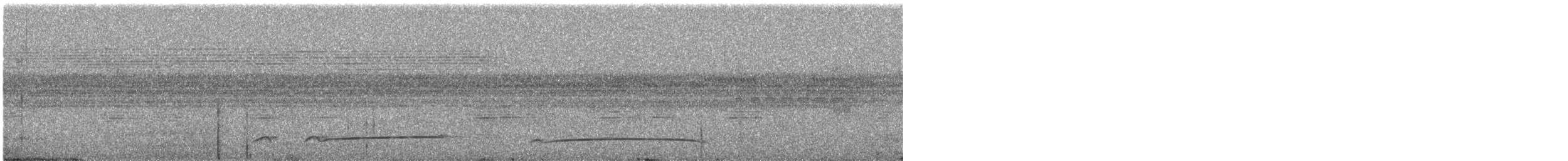 Western Striolated-Puffbird - ML645170468