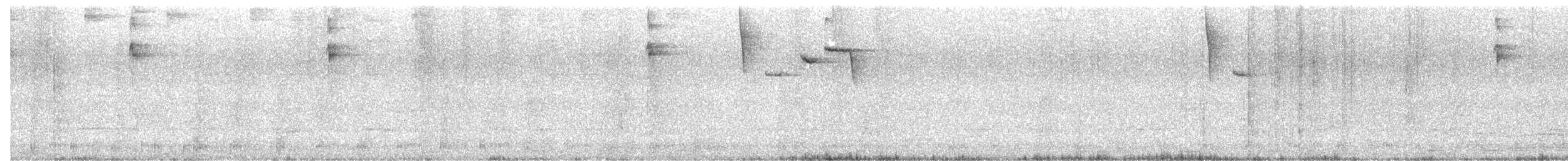 lesňáček sp. (Parulidae sp.) - ML645170783