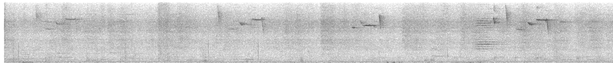 lesňáček sp. (Parulidae sp.) - ML645171240