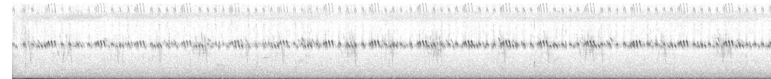 Gray-breasted Prinia - ML645171808