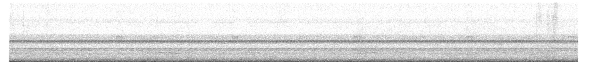 Coppersmith Barbet - ML645171938