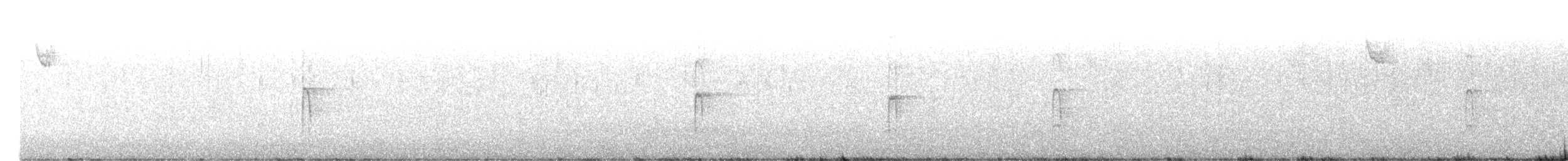 Hairy Woodpecker - ML645172123