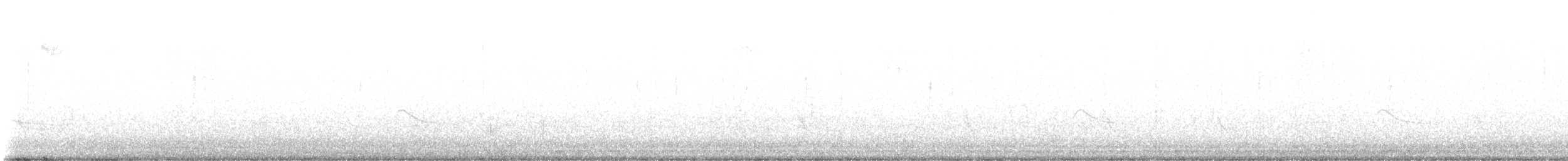 Say's Phoebe - ML645172282