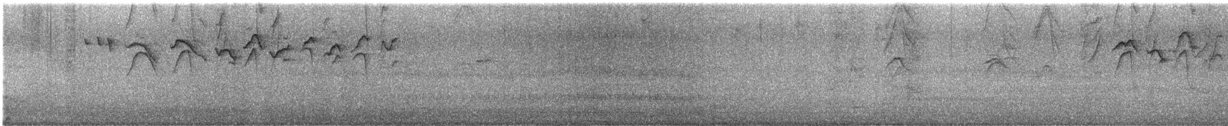 Blue-gray Tanager - ML645172285