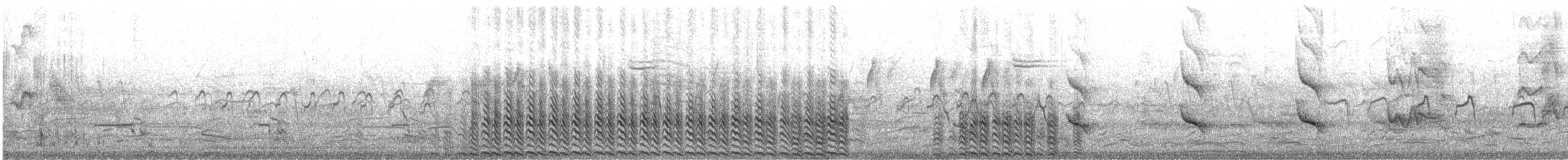 Pied-billed Grebe - ML645172489