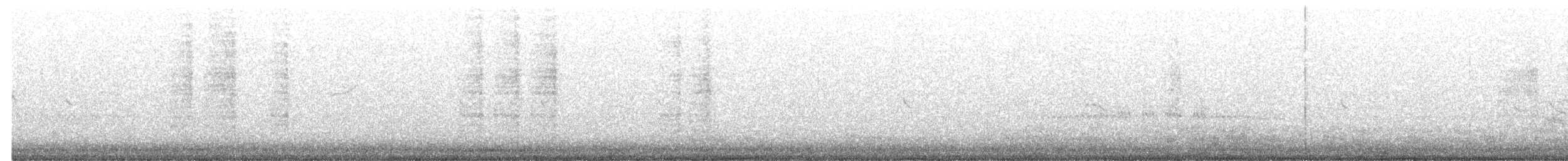 Bewick's Wren - ML645172717