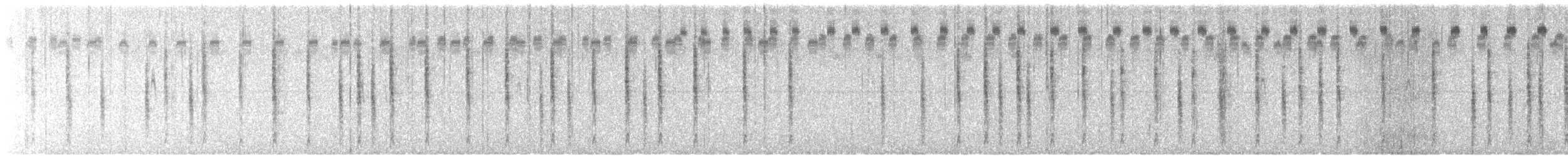 Marsh Wren - ML645172912