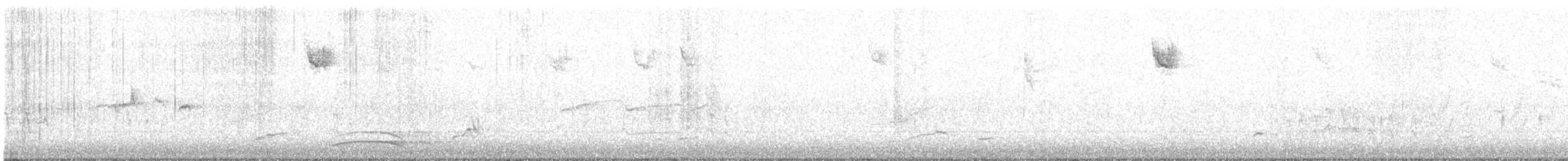 White-throated Sparrow - ML645172974