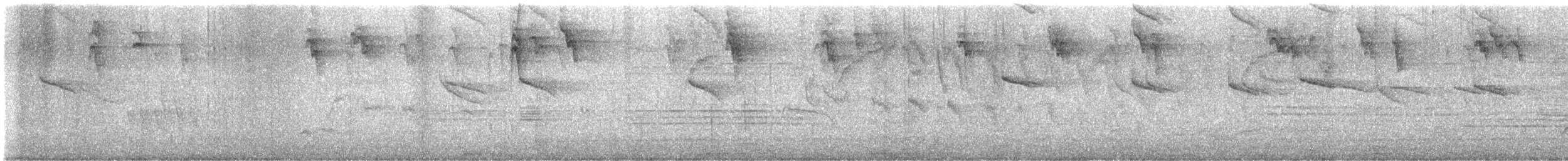 Amazilia Hummingbird - ML645173510