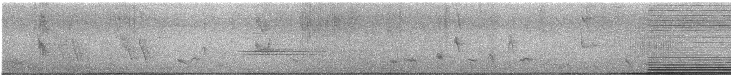 Long-tailed Mockingbird - ML645173515