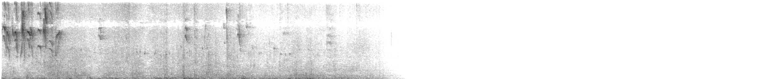 Percefleur masqué - ML645173882