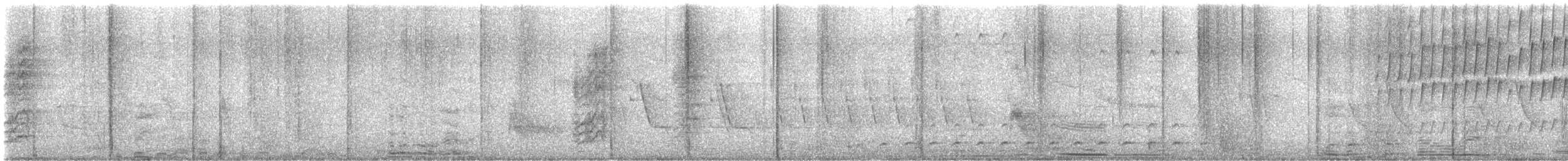 Peruvian Pygmy-Owl - ML645174058