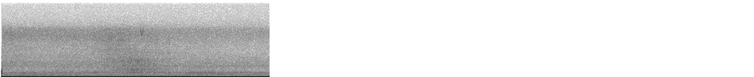 סבכון חכלילי - ML645175103