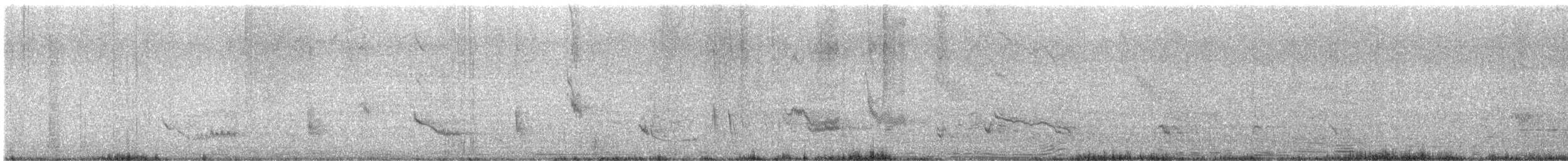 Langschwanz-Spottdrossel - ML645175121