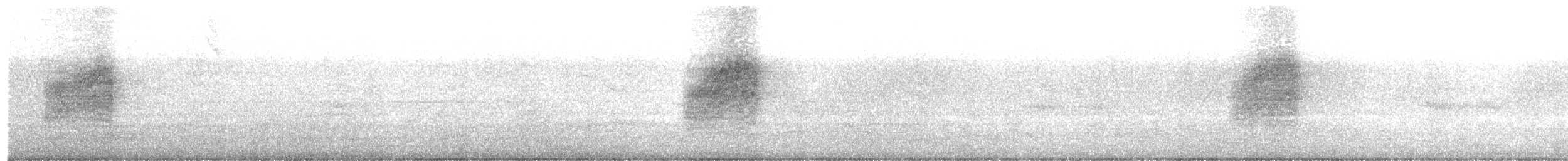 Southern House Wren - ML645175706