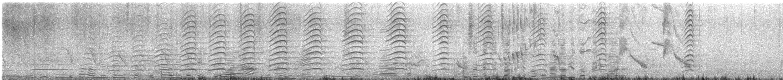 Schwanzbandmöwe - ML645175767
