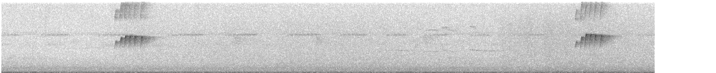 Trauerkönigstyrann - ML645176493