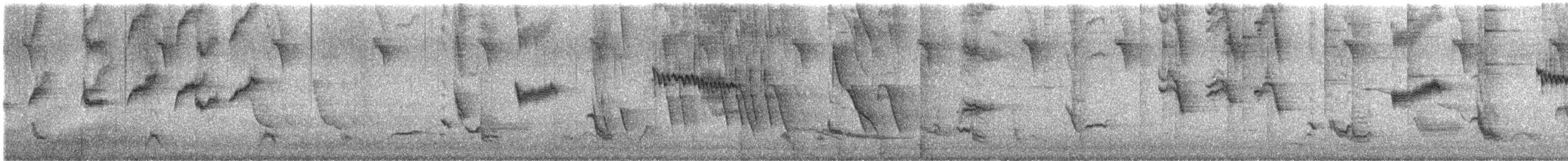 Langschwanz-Spottdrossel - ML645176688