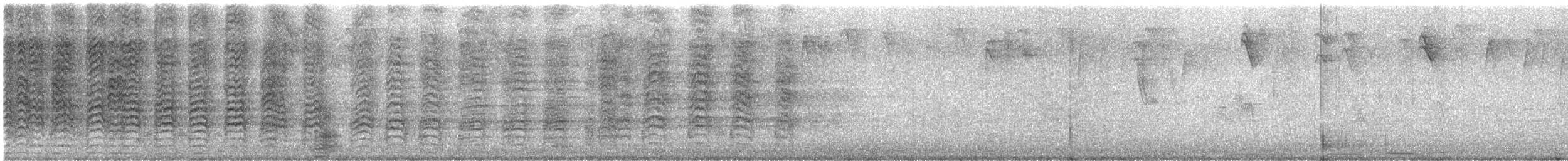 Kordillerensittich - ML645177139